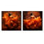 Flammes flamenco Dance - Ensemble de 2 collants Dance Square-1693565712-1693565725