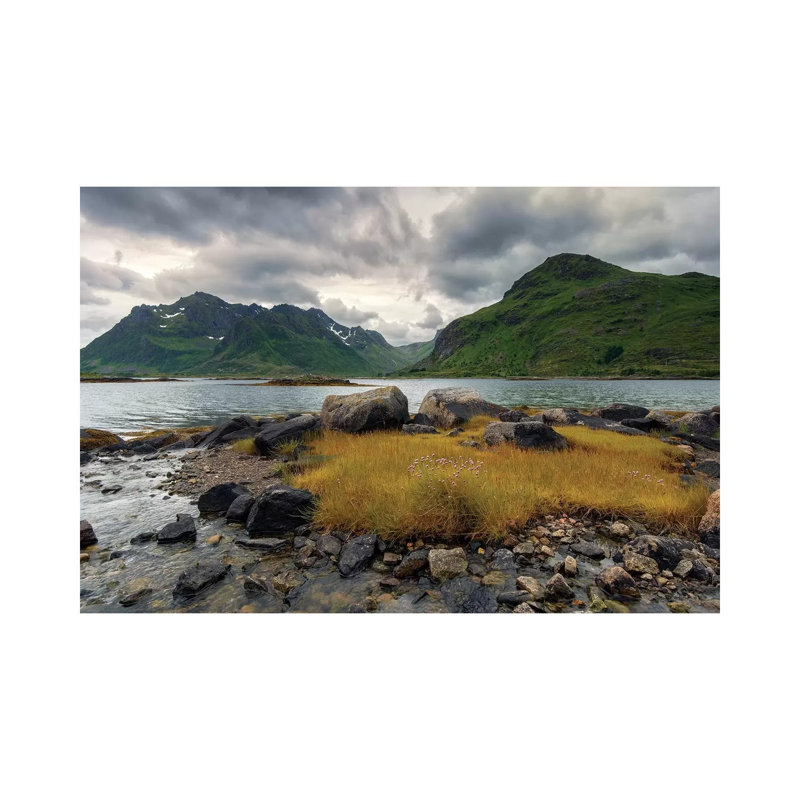 Lofoten Grass by Andreas Stridsberg - Wrapped Canvas Print, 20.32 cm H x 30.48 cm W