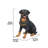Rottweiler Sitting Statue