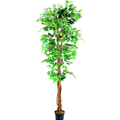 Arbre ficus de plancher artificiel en pot