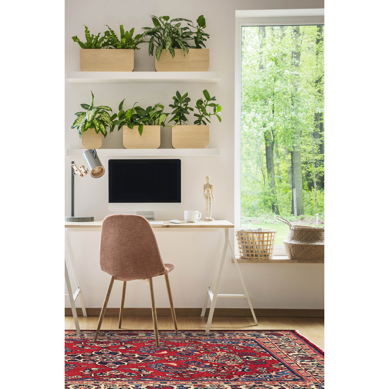 Tapis rouge Andelz 3 pi 5 po x 5 pi 1 po