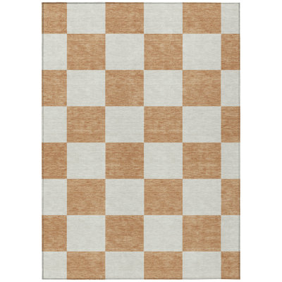 Machine Washable Indoor/Outdoor Braegger ACN2345 Geometric Rug