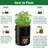 Grow Bags Growing Kit(Set of 6)