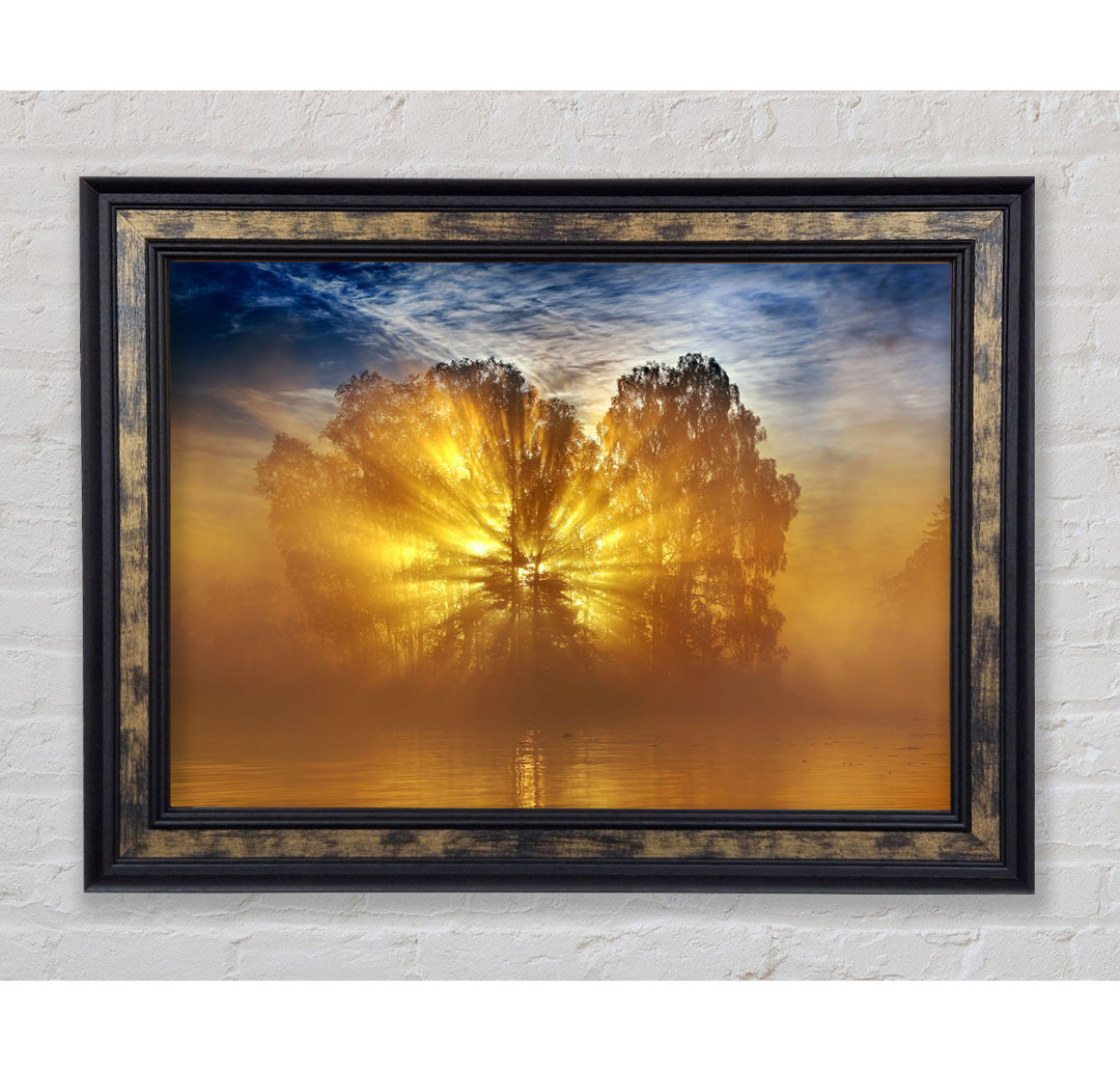 Golden Sunburst Tree - Einzelner Bilderrahmen Kunstdrucke