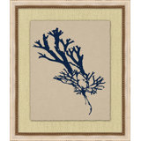 Small Navy Sea Fan 5 Print