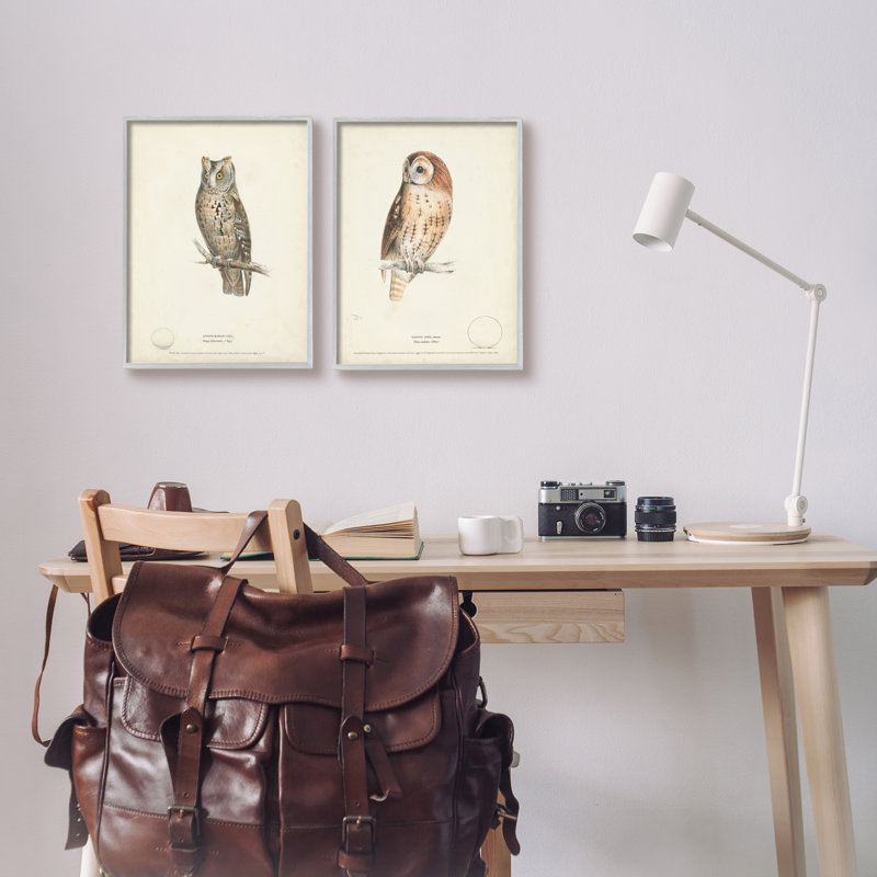 Owl Breeds, H 14 po x l 11 po x P 1,5 po, Estampe numérique Farmhouse