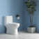 Toilette allongée à double chasse 4 / 6L GPF Patton