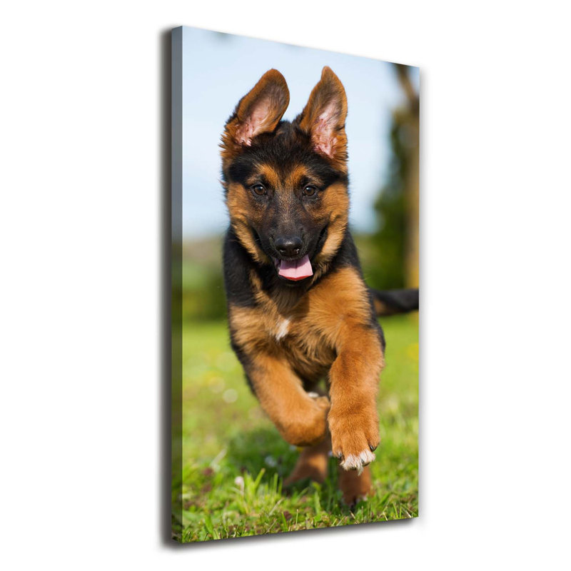 German Shepherd - Wrapped Canvas Print