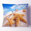 « mer », message photo en bouteille recouvert de coussin de sable-29597937-29597941