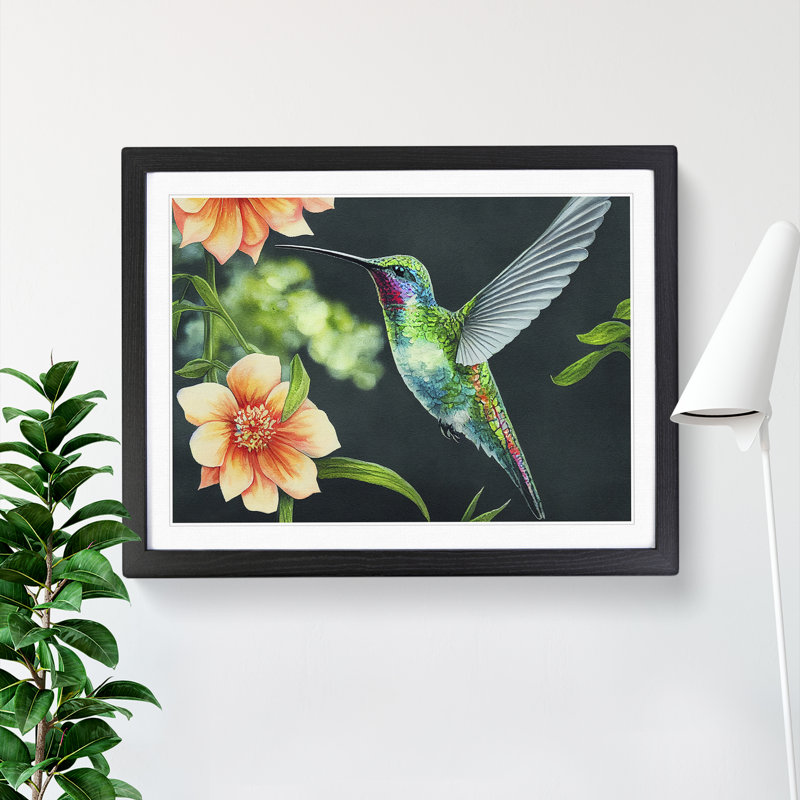 Hummingbird Vol.3 - Single Picture Frame Print, Black, 46cm H x 64cm W x 2cm D
