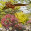 Piquet de jardin Sedricka