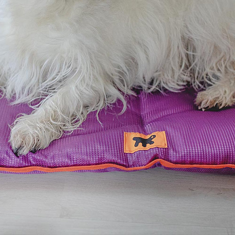 Ferplast Beddings Pet Bed, 3.5cm H x 79cm W x 108cm D, Grey