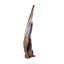 Teak Root Sculpture