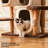 Simple Fashionable Tree House Cat Climbing Frame