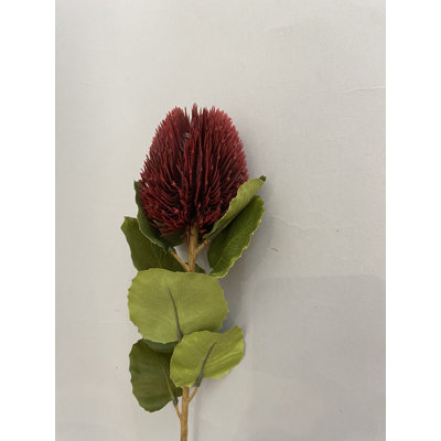 Thistle Spray