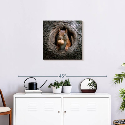 Crowle Squirrel dans un trou d'arbre