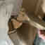 Customer photo 2 of 2