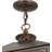 Baylynn Outdoor Hanging Lantern