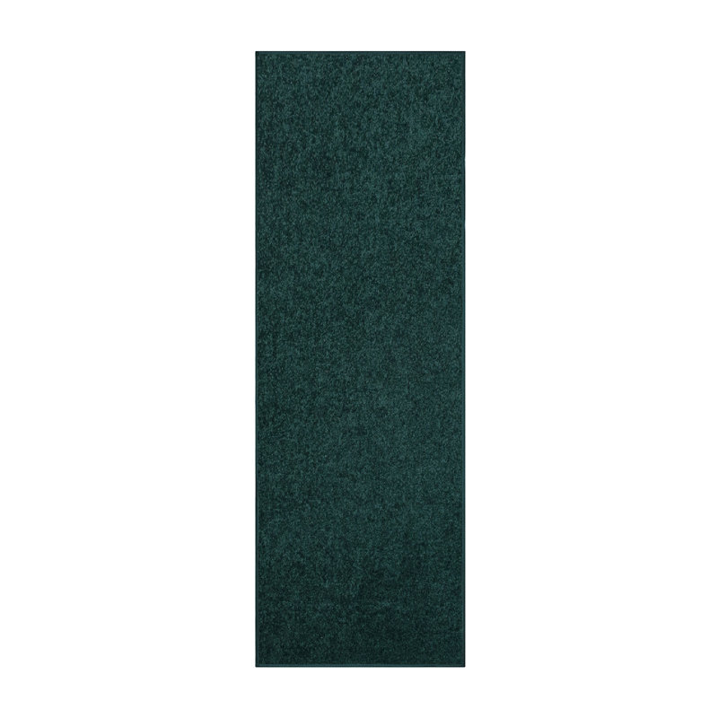 Modern Plush Pet and Kids Friendly Solid Color Area Rugs, Stain & Fade Resistance, Bedroom, Playroom and Kidsroom, Event, Wedding, Perfect for Living Room, Dining Room, Forest Green Rug