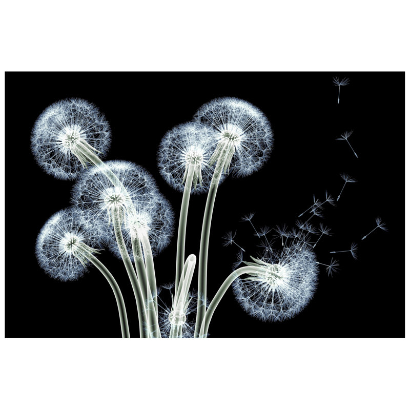 " Dancing Dandelions "