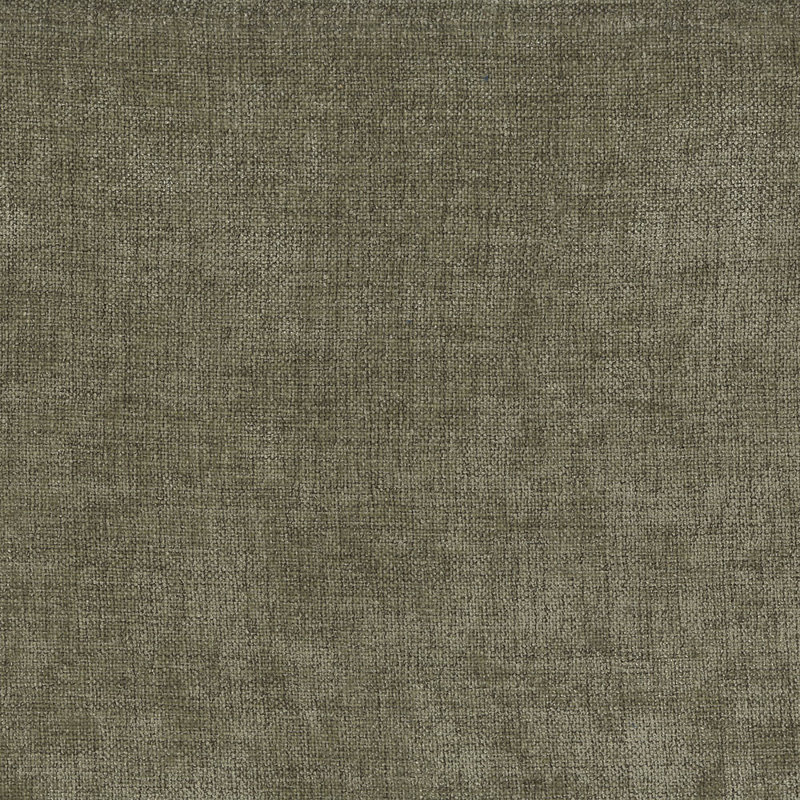 Mélange de tissu, Roitelet