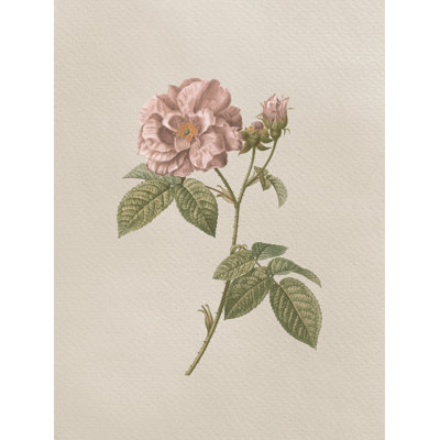 " French Market Floral II "