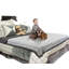 Couverture imperméable pour chiens Catalonia-97567306-97567311