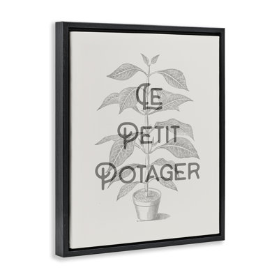 Vintage French Plant Phrase Floating Frame, design by Lil' Rue