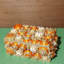 Charisma Decorative Box