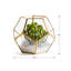 Photophore central en verre 6 po