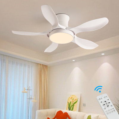 Antha 122cm Ceiling Fan with LED Lights