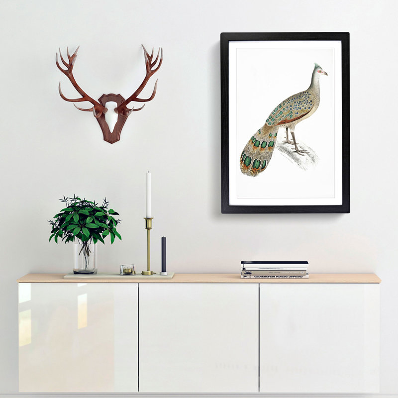Peacock-Pheasant by John Edward Gray - Picture Frame Painting Print, 36cm H x 27cm W x 2cm D, Black Framed