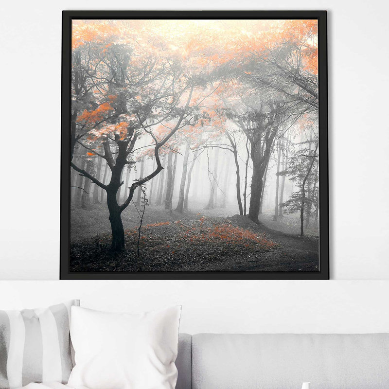 «Autumn Woods I» par Photoinc Studio - photographie, H 21,5 po x l 21,5 po x P 2 po, Cadre flottant noir