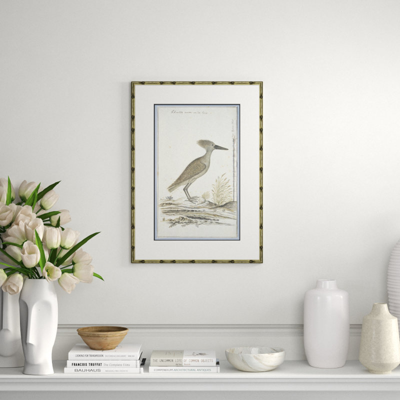 Bird Drawings, Circa 1777 Giclee Print by Robert J. Gordon