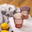 250ml Drinking Glass