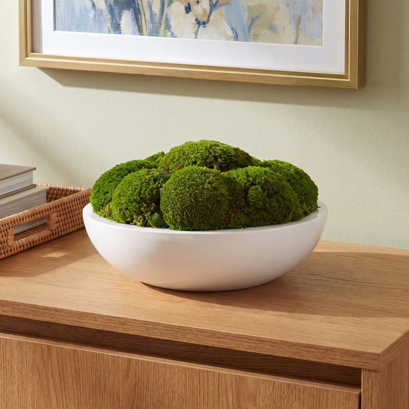 Vanora Preserved Moss Plant in Planter, 8" H x 14" W x 14" D