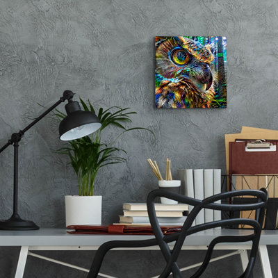  'Owl' by Pedro Gavidia Acrylic Glass Wall Art, 12" x 12"