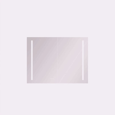 40In. W X 30 In. H LED Large Rectangular Aluminum Alloy Surface Mount Medicine Cabinet With Mirror