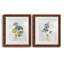Lin bleu géranium - ensemble de 2 reproductions d'art-1616870602-1616870548-1680238236