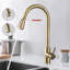 Fairmont Park Nerbone Pull Out Kitchen Faucet