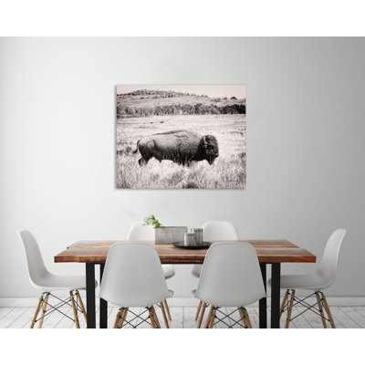 "Buffalo I BW", toile tendue par Debra Van Swearingen