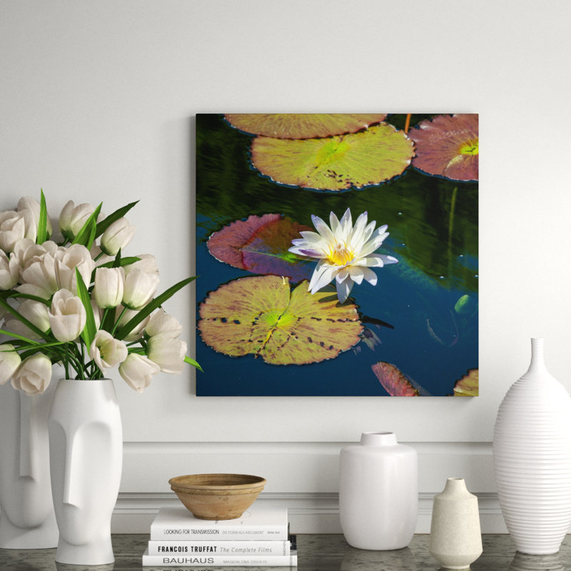 Water Lily Print by Ted Glasoe