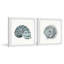 Ludwig Classy Shell II by Marmont Hill - 2 Piece Single Picture Frame Painting-1071364136