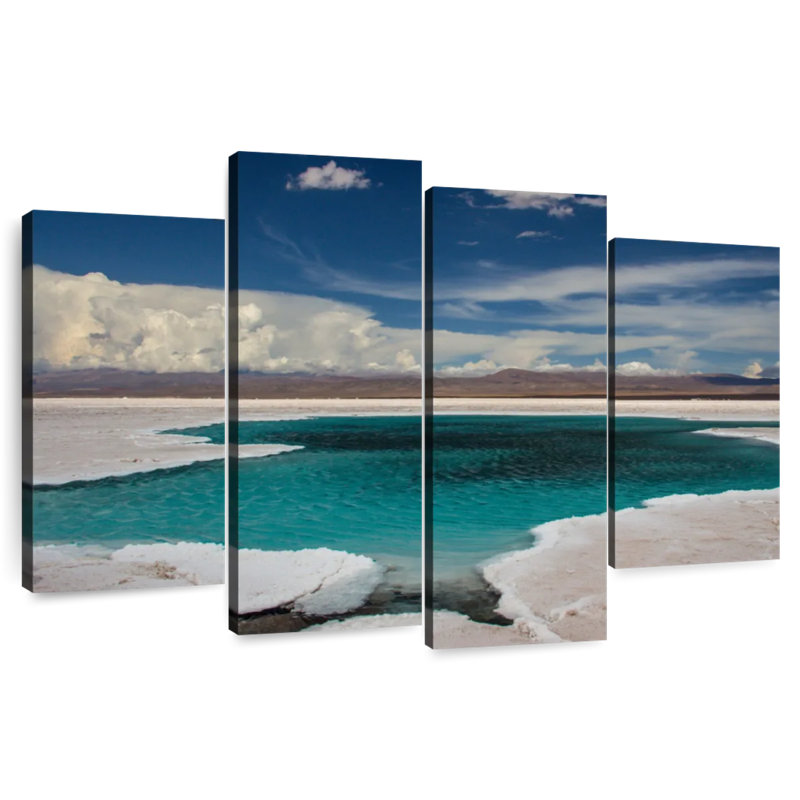 Alvord Salinas Grandes