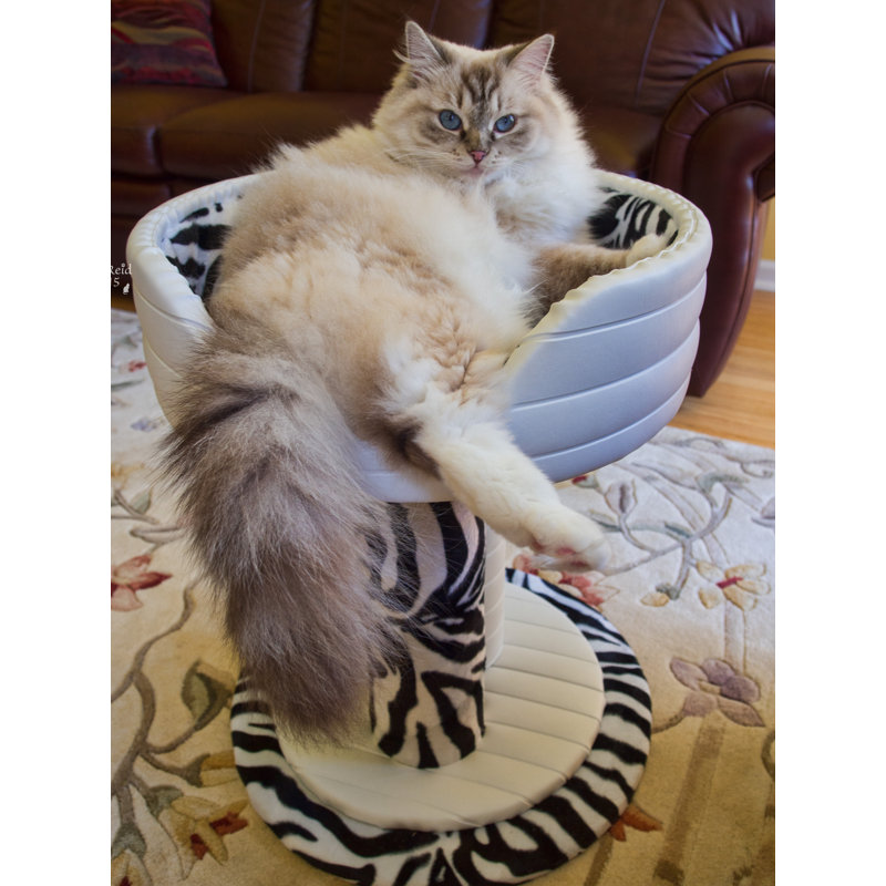 Habitation pour chat Atesha Hybernest Deluxe