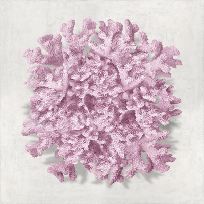 Coral Blush II by Caroline Kelly - Wrapped Canvas Print