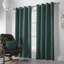 Nalaiyah Velvet Chenille Eyelet Curtains-1315062716-1315062696
