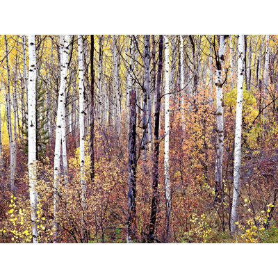 # 2 par Bruce Heinemann - Photographie avec cadre