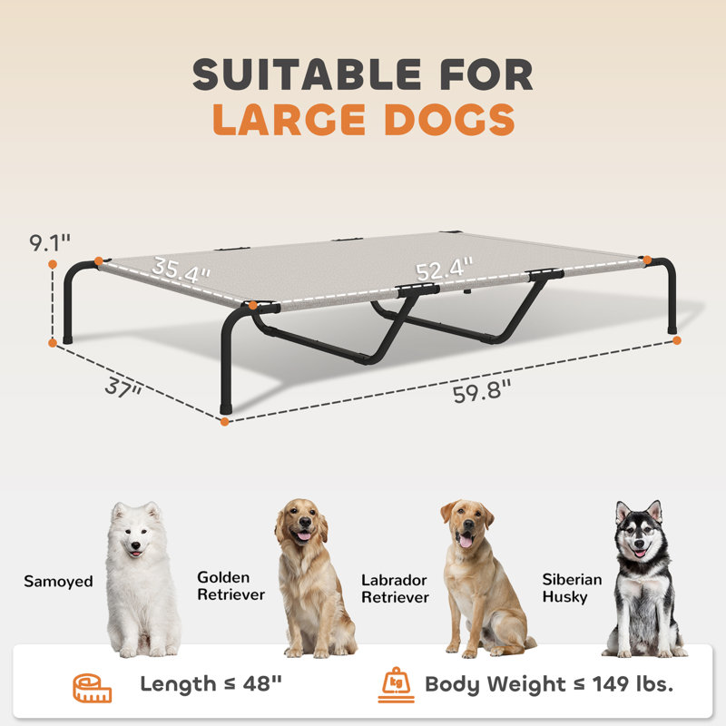 Lit surélevé pour grand chien, Beige