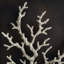 Ocean Coral Shadow Box-60149168